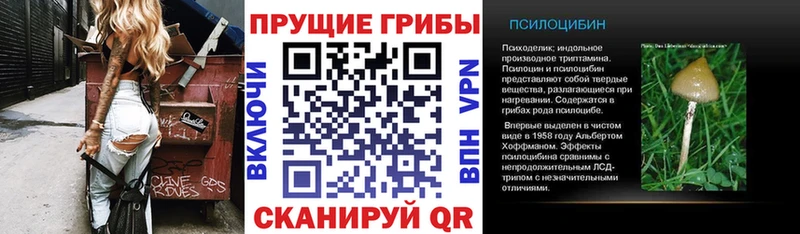 Купить где  Таштагол  Галлюциногенные грибы GOLDEN TEACHER 